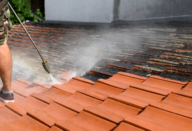 Best Garage Pressure Washing  in Cedar Point, NC