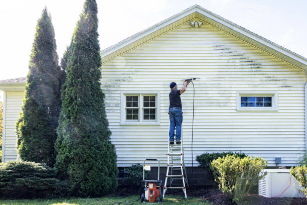 Best House Pressure Washing  in Cedar Point, NC
